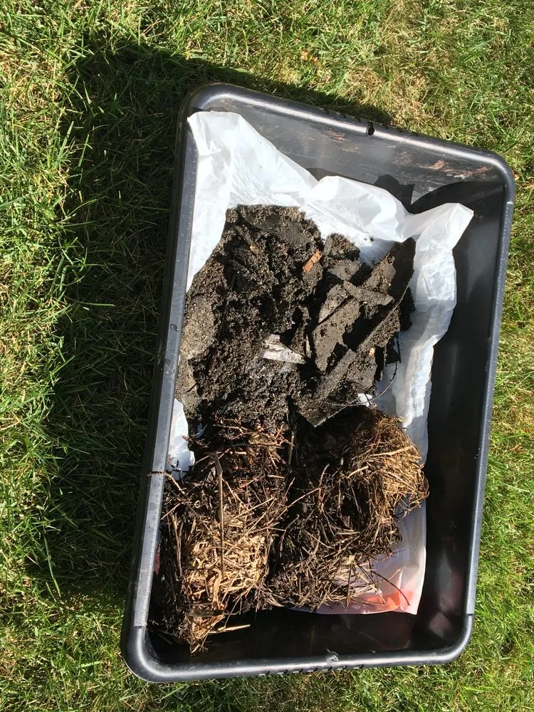 Slide of A1 Everlast