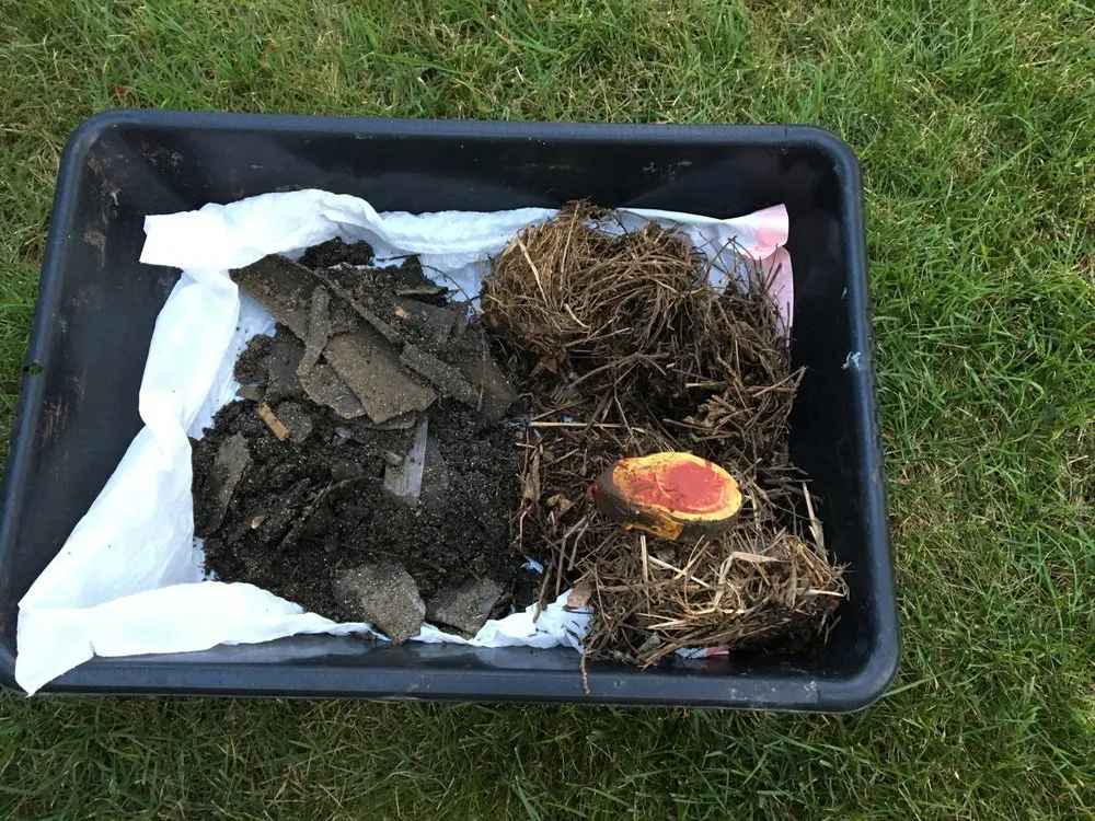 Slide of A1 Everlast