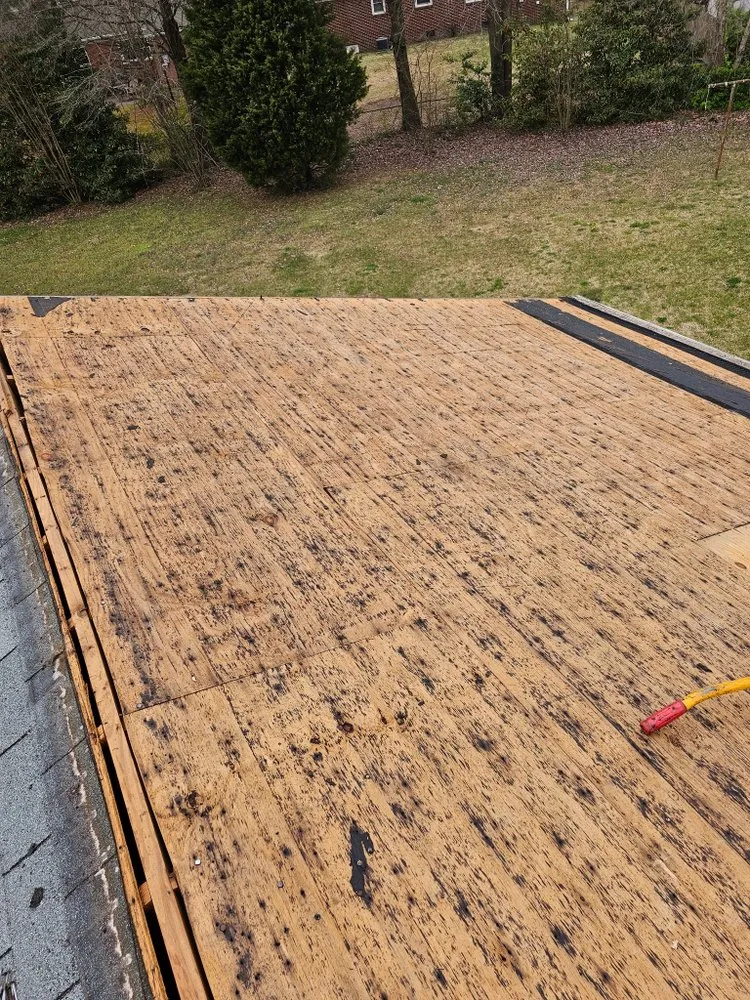 Slide of A1 Finest Construction