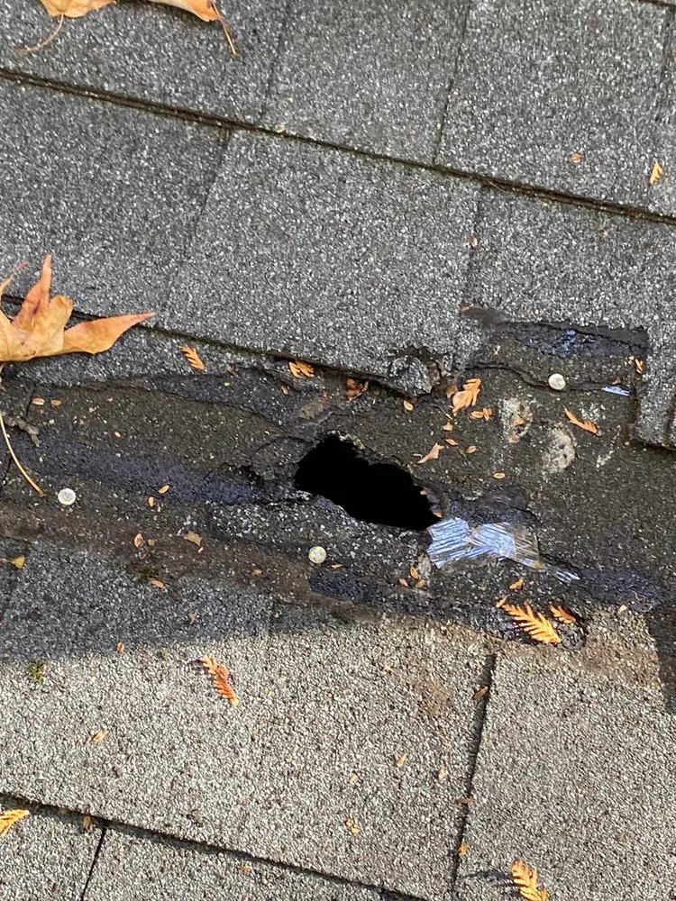 Slide of A1 Oasis Construction