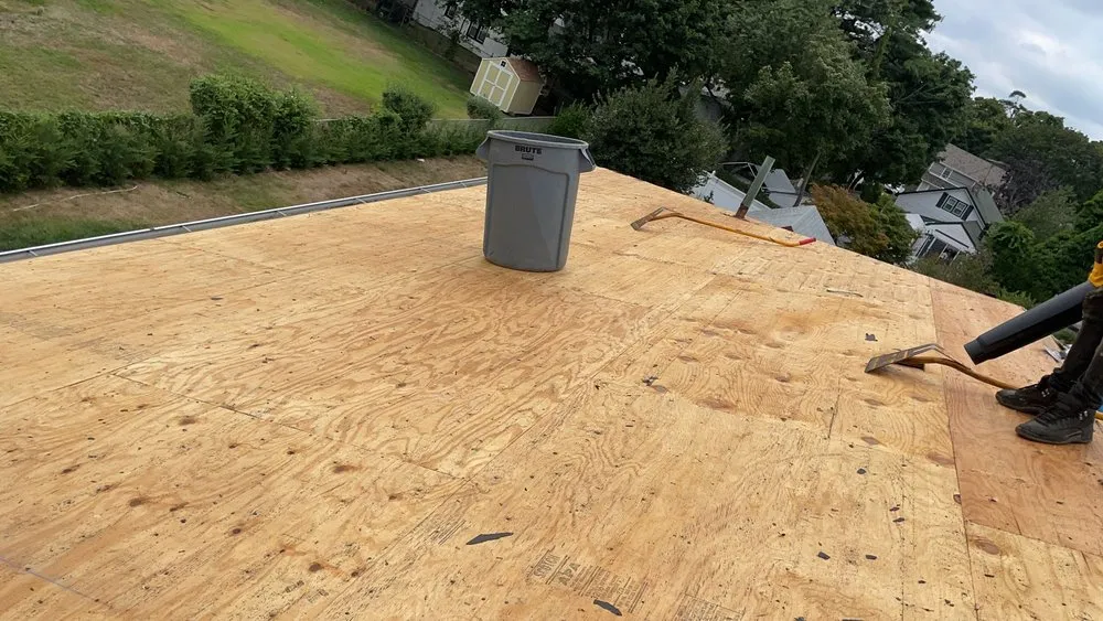 Slide of A1 Plus Quality