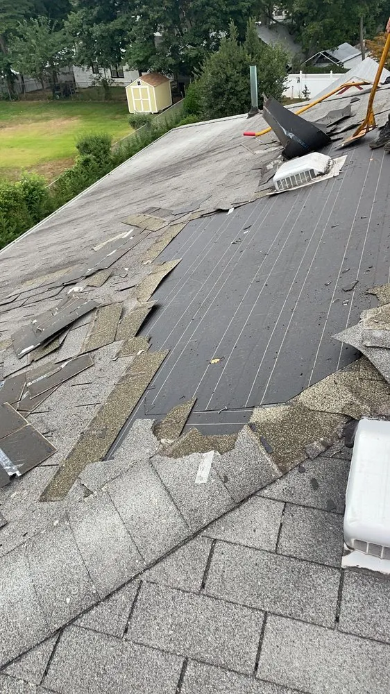 Slide of A1 Plus Quality