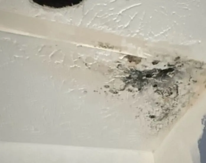 Slide of A1 Roofing & Contracting