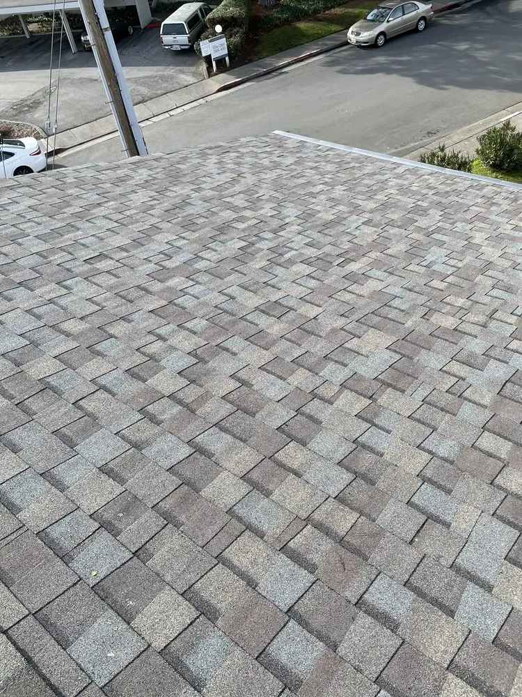 Slide of A1 Roofing & Maintenance