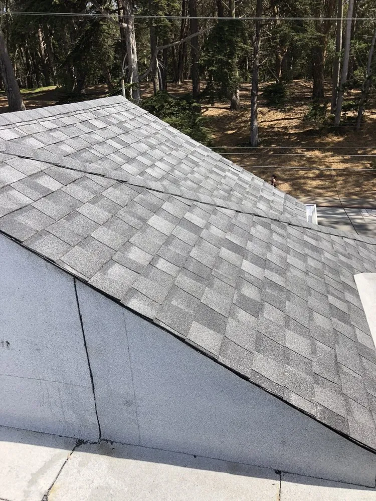 Slide of A1 Roofing & Maintenance