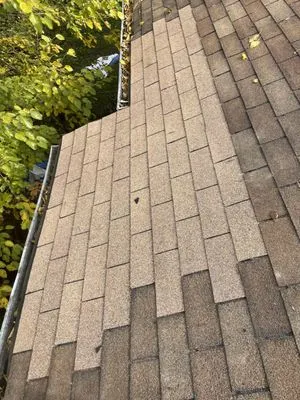 A1Construction Chimney Service