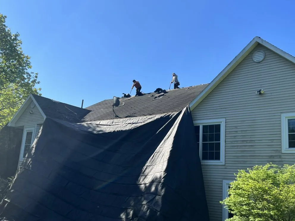 Slide of A1Professional