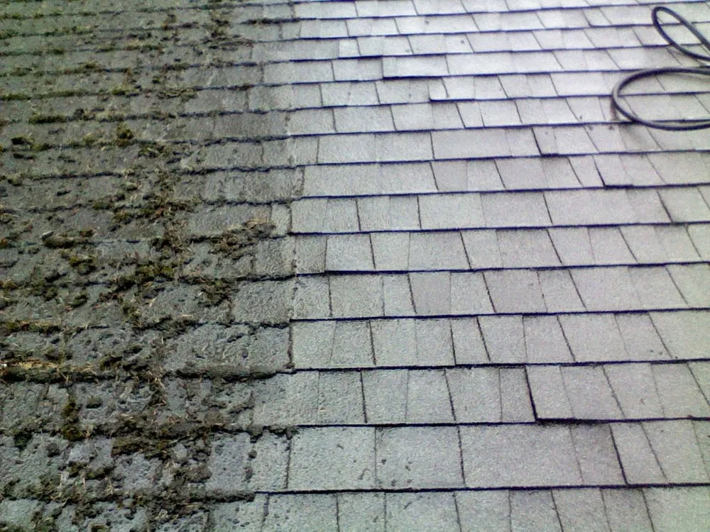 Slide of AA Maintenance Roof Pro