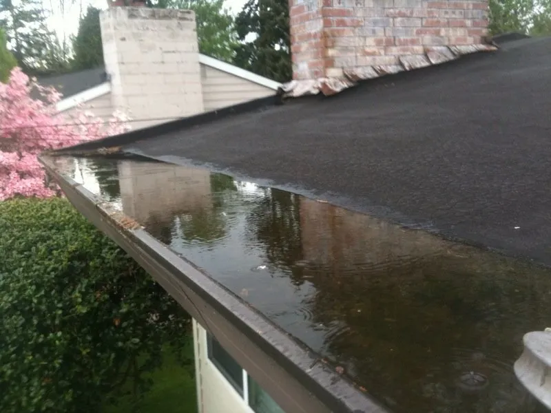 Slide of AA Window and Gutter Cleaning