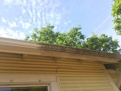 Slide of AA Window and Gutter Cleaning