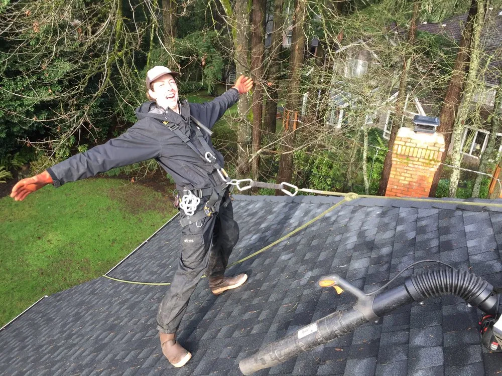 Slide of AA Window and Gutter Cleaning