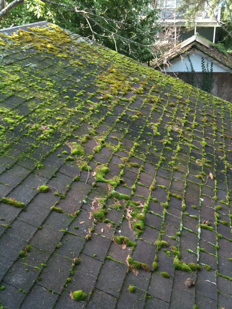 Slide of AA Window and Gutter Cleaning