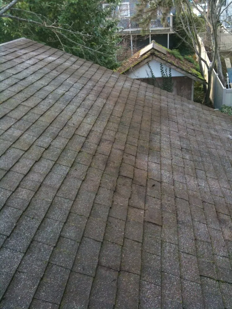 Slide of AA Window and Gutter Cleaning