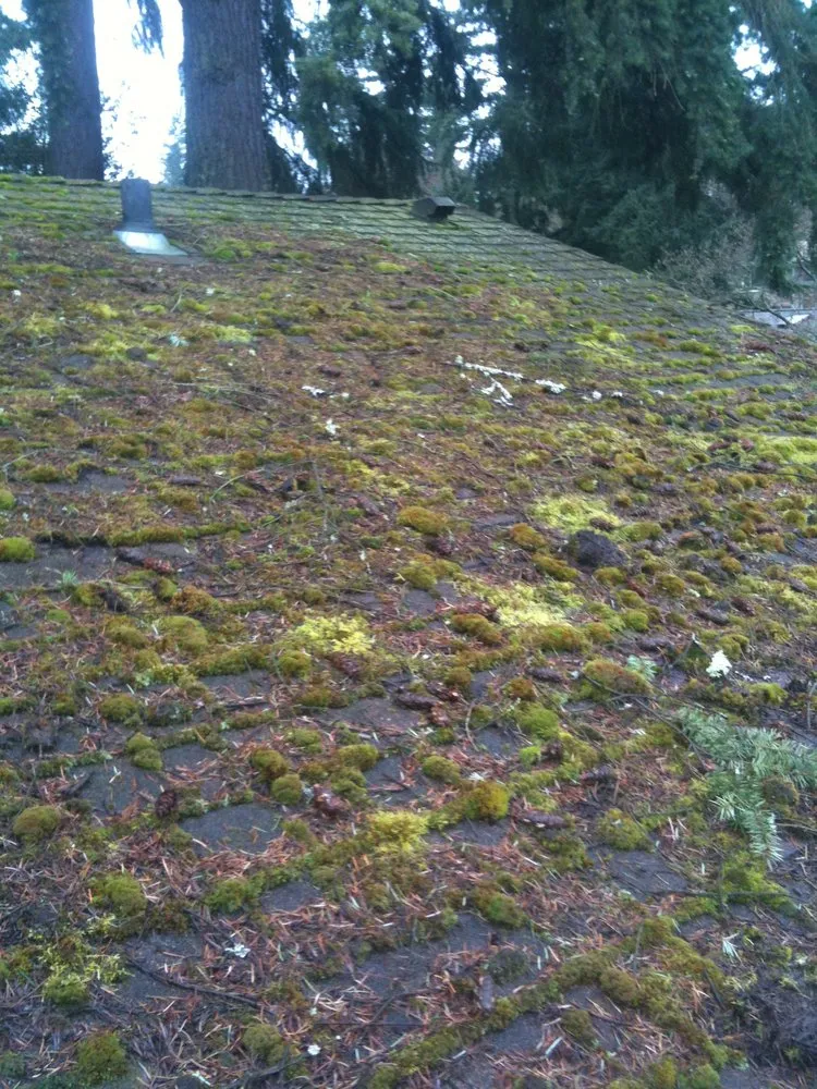 Slide of AA Window and Gutter Cleaning