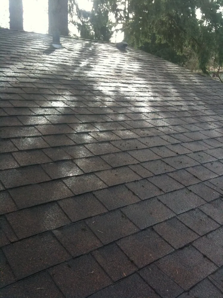 Slide of AA Window and Gutter Cleaning