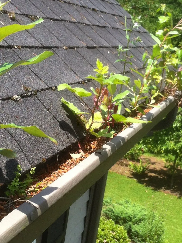 Slide of AA Window and Gutter Cleaning