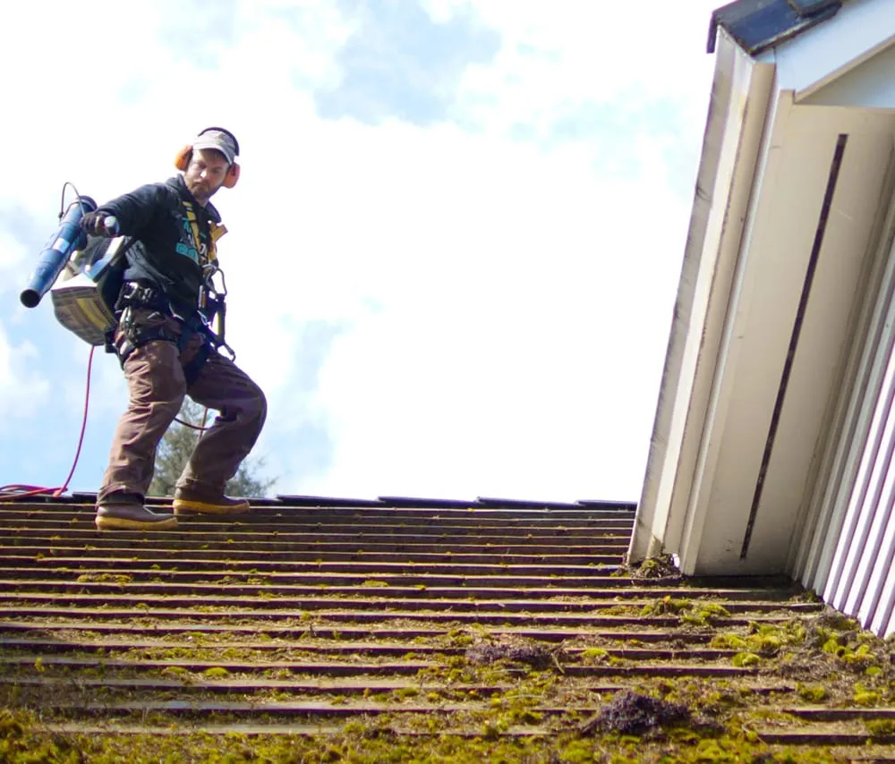 Slide of AA Window and Gutter Cleaning