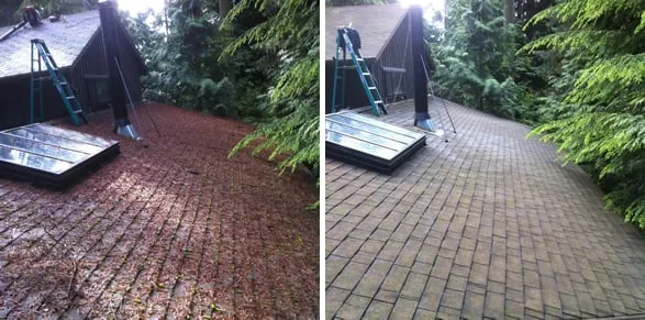 Slide of AA Window and Gutter Cleaning