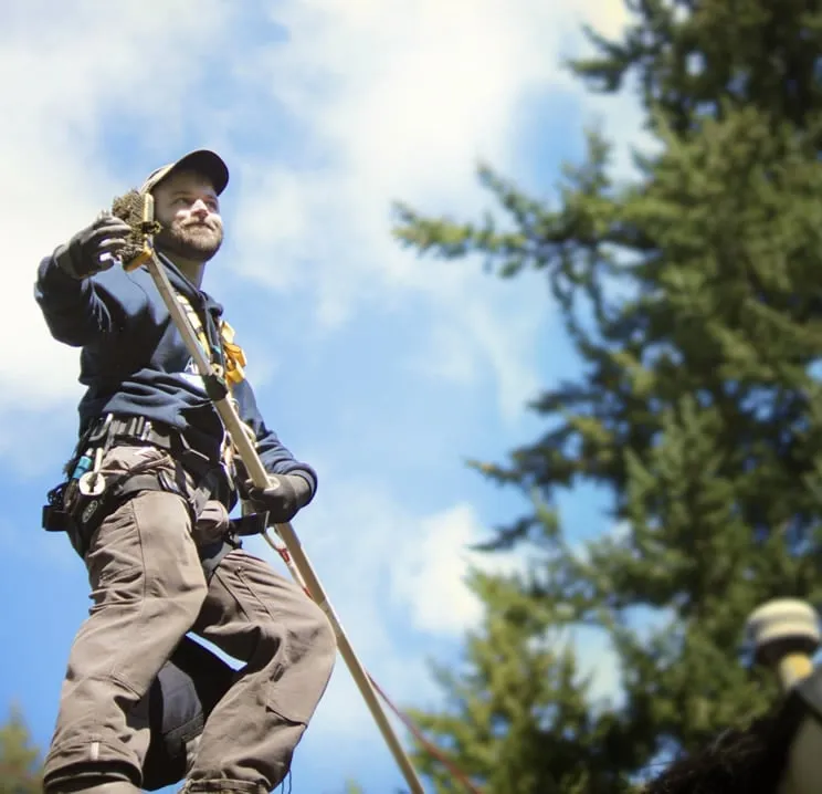 Slide of AA Window and Gutter Cleaning