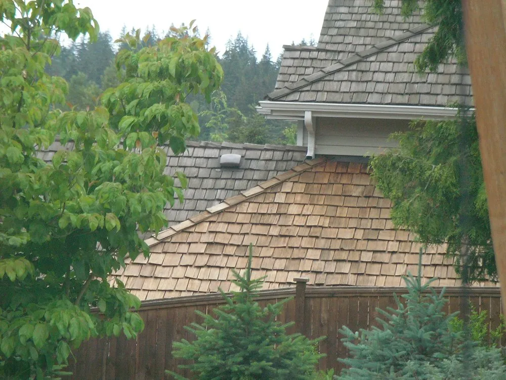 Slide of AAA -1 Roof Care