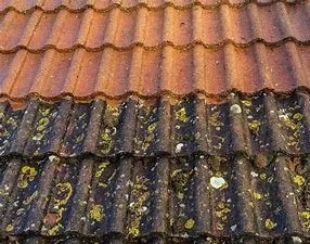 Slide of AAA -1 Roof Care