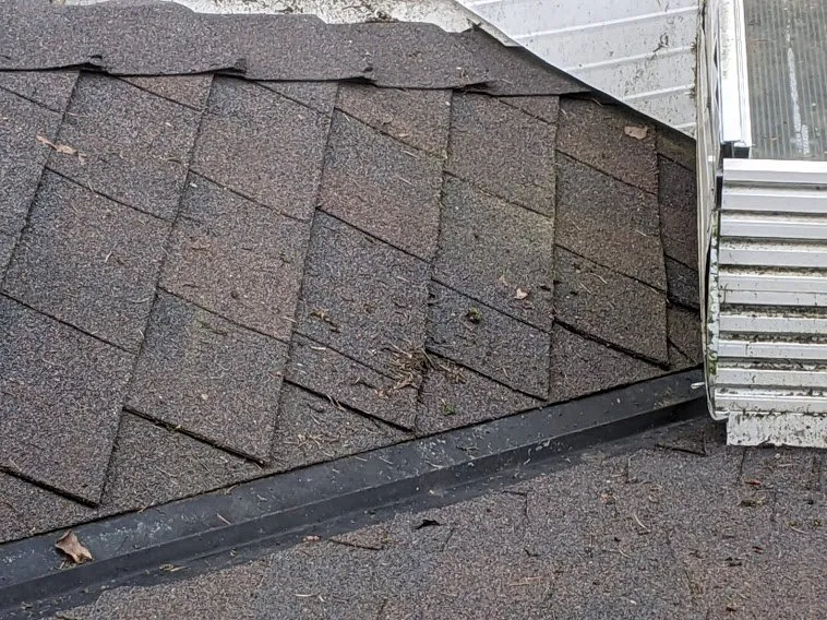 Slide of AAA -1 Roof Care