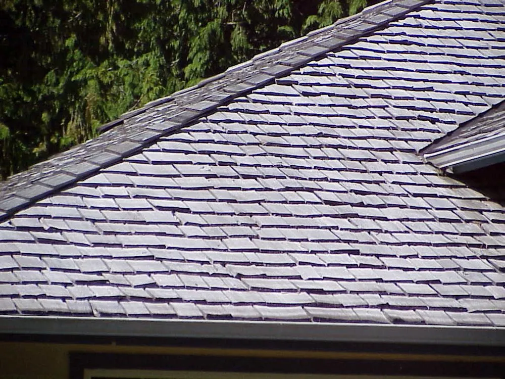 Slide of AAA -1 Roof Care