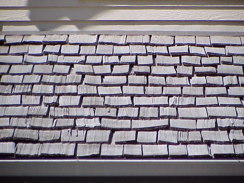 Slide of AAA -1 Roof Care