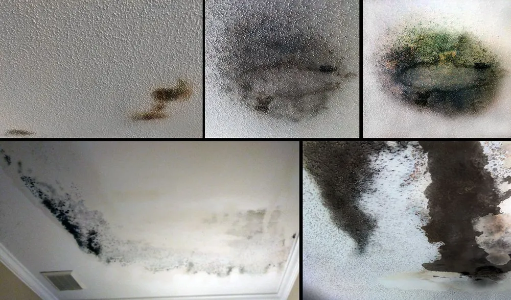 Slide of AAA Construction and Maintenance