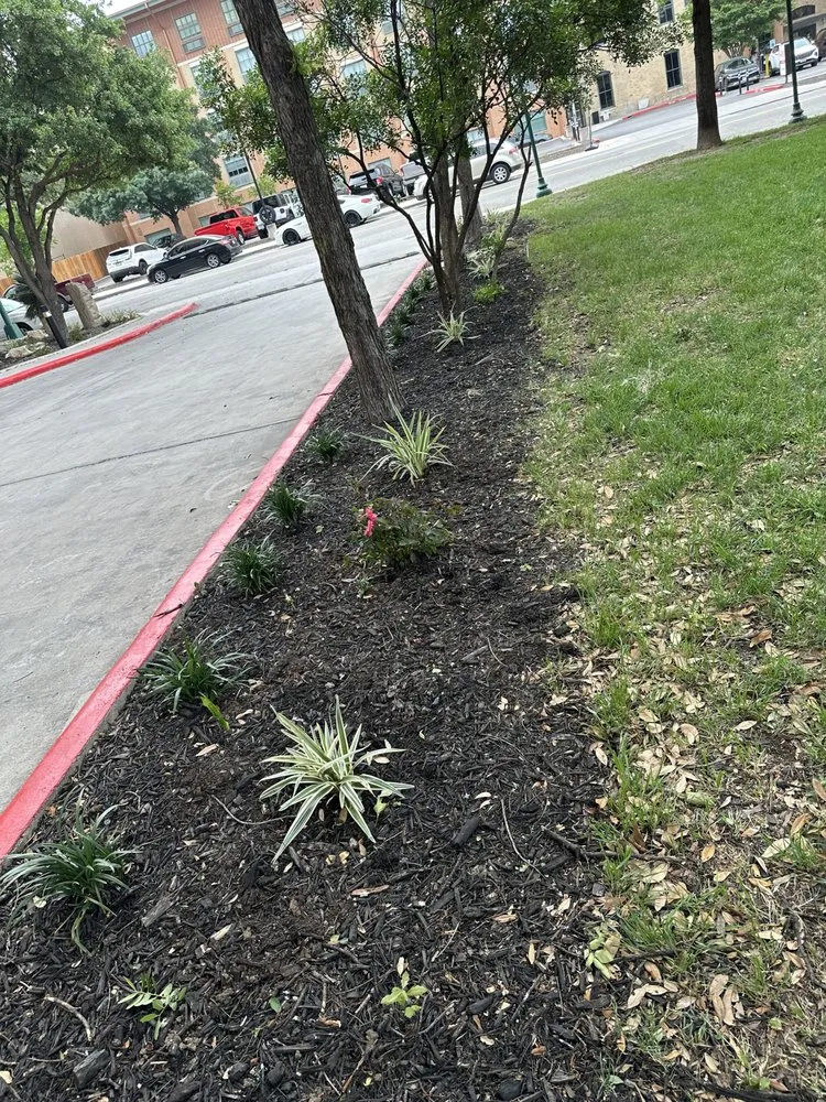 Slide of AAA Nursery & Landscaping