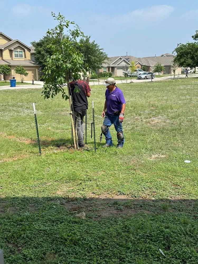 Slide of AAA Nursery & Landscaping