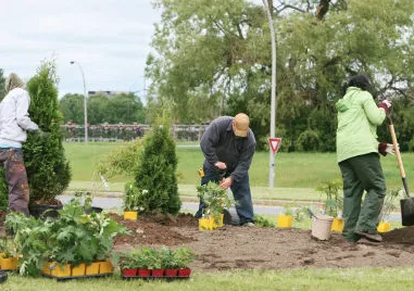 Slide of AAA Restoration