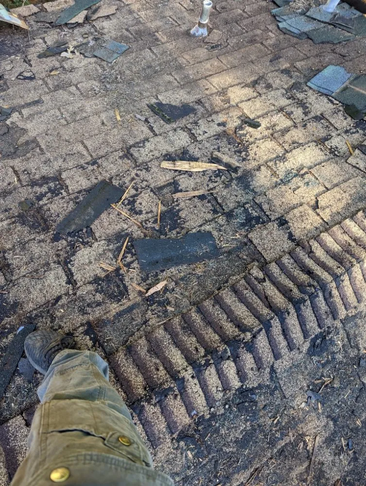 Reliable roof replacement in Brownsville, CA - AAA Roofing Applicators