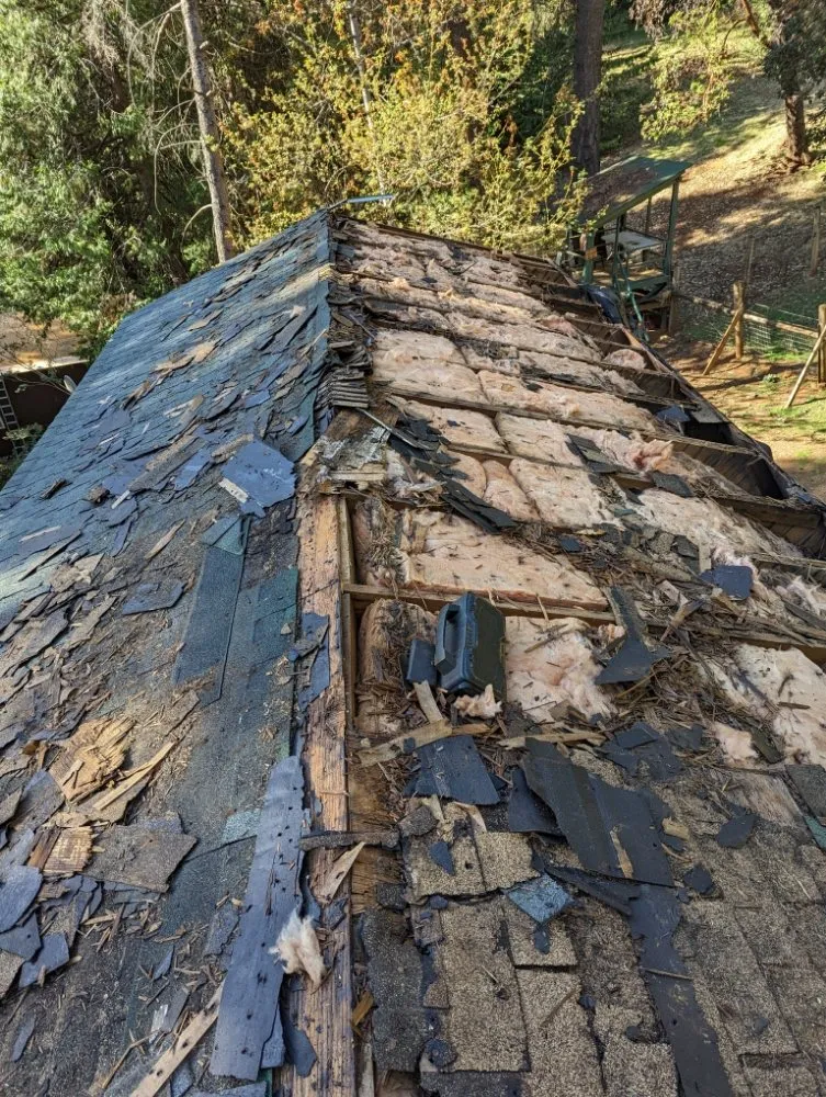Local roof inspection for residential properties across Brownsville, CA - AAA Roofing Applicators