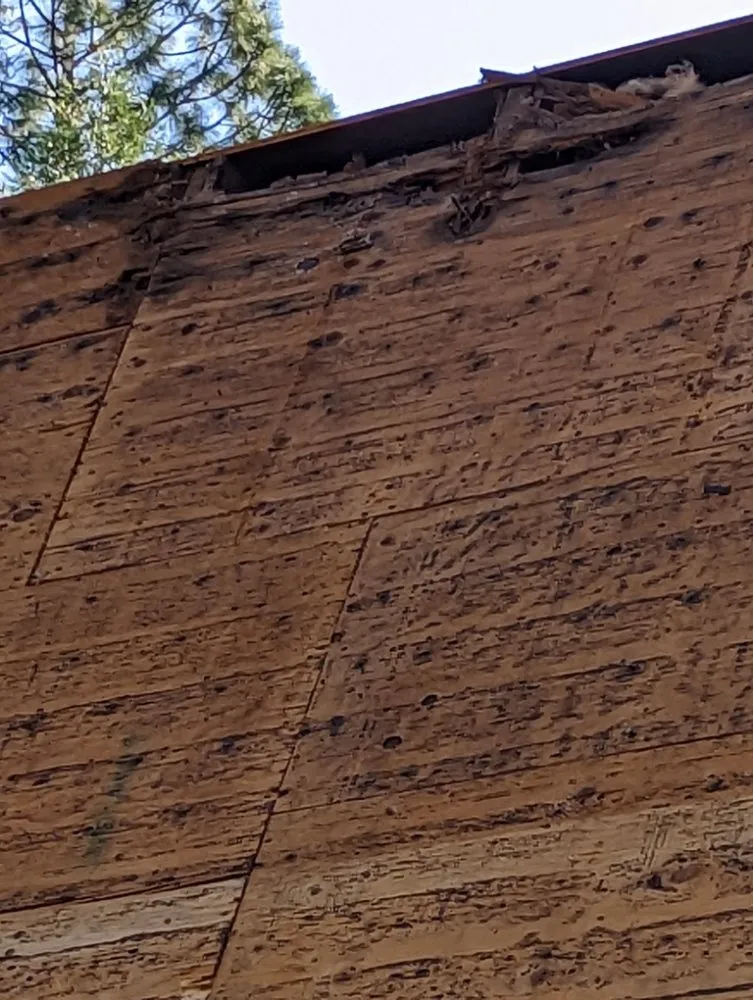 Top-rated roof repair in Brownsville, CA - AAA Roofing Applicators