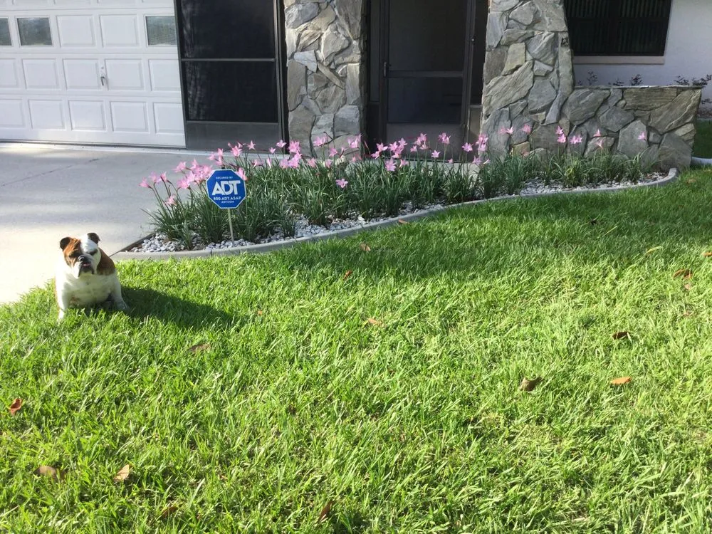 Slide of AAA Roofing