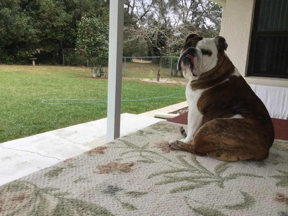 Slide of AAA Roofing