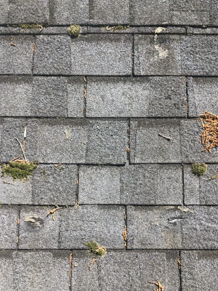 Slide of AAG Enterprises & Southeastern TPO, LLC