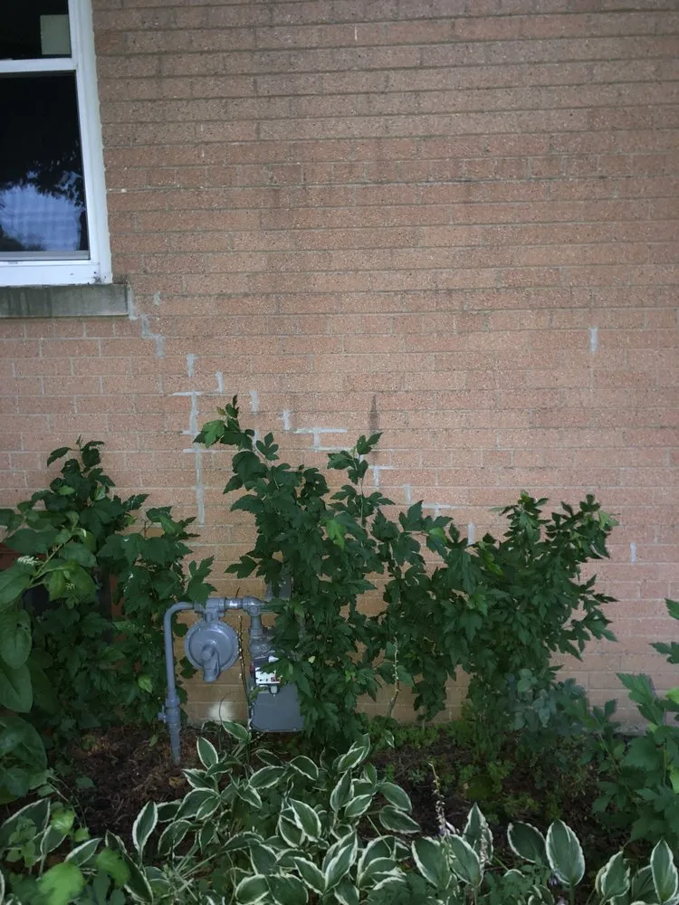 Slide of AAM Construction