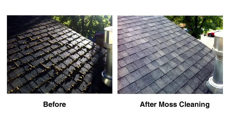 Slide of Aardvark Gutter Cleaning & Roof Moss Removal