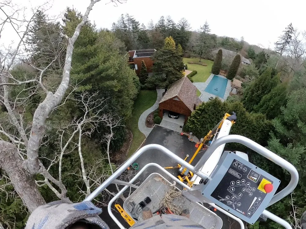 Slide of Aaron K Corp