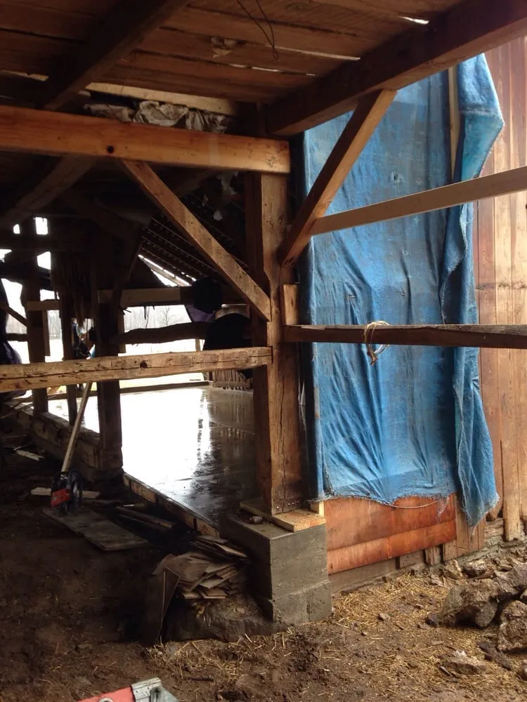 Slide of AB Schwartz Restorations