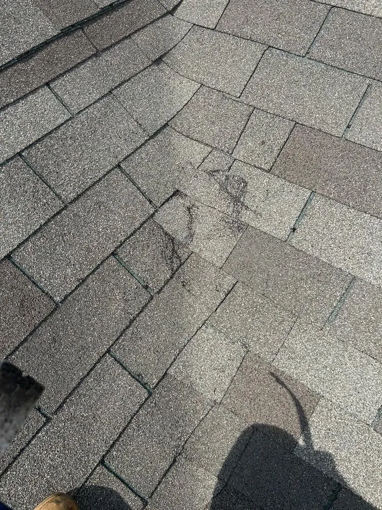 Slide of Abc Quality Construction