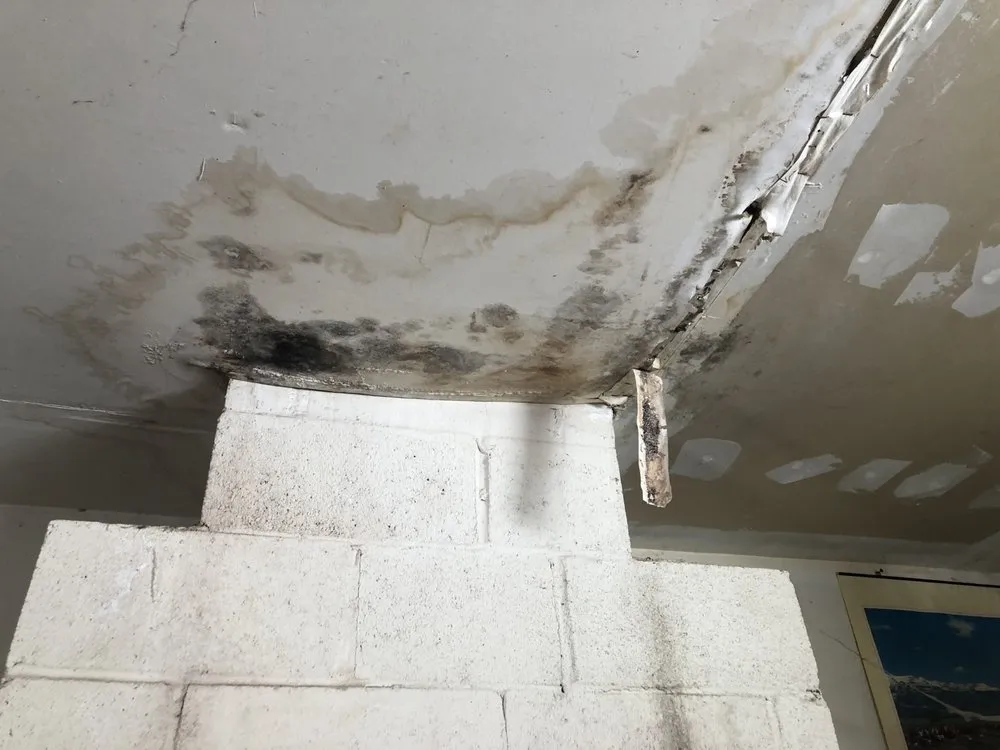 Slide of ABC Roofing