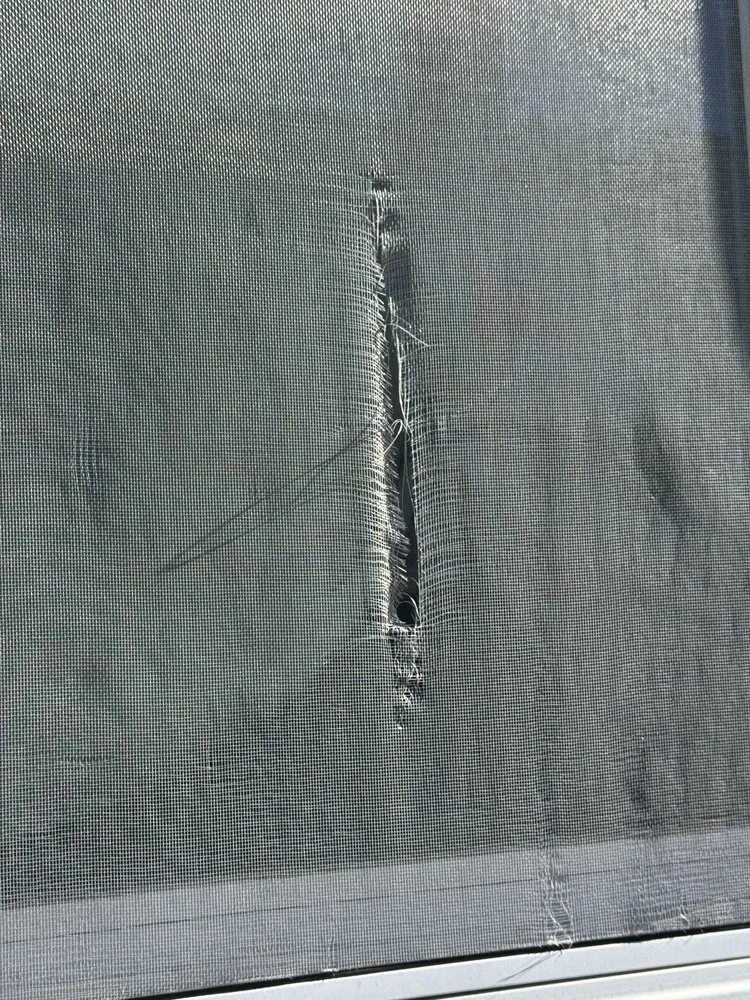 Slide of ABC Seamless of Nebraska