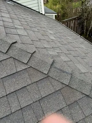 Ability Plus Roofing