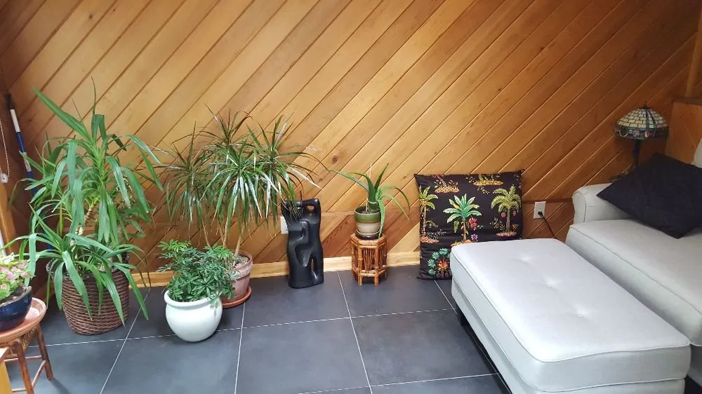 Slide of About Face Remodeling