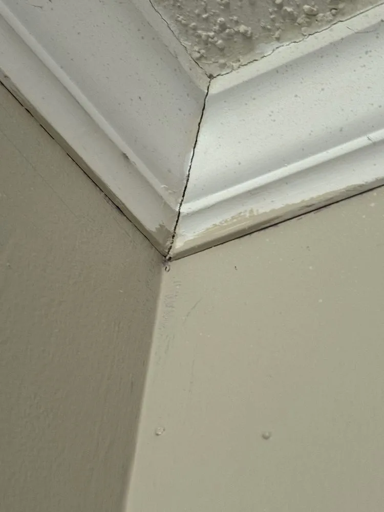 Slide of Above & Beyond Handy