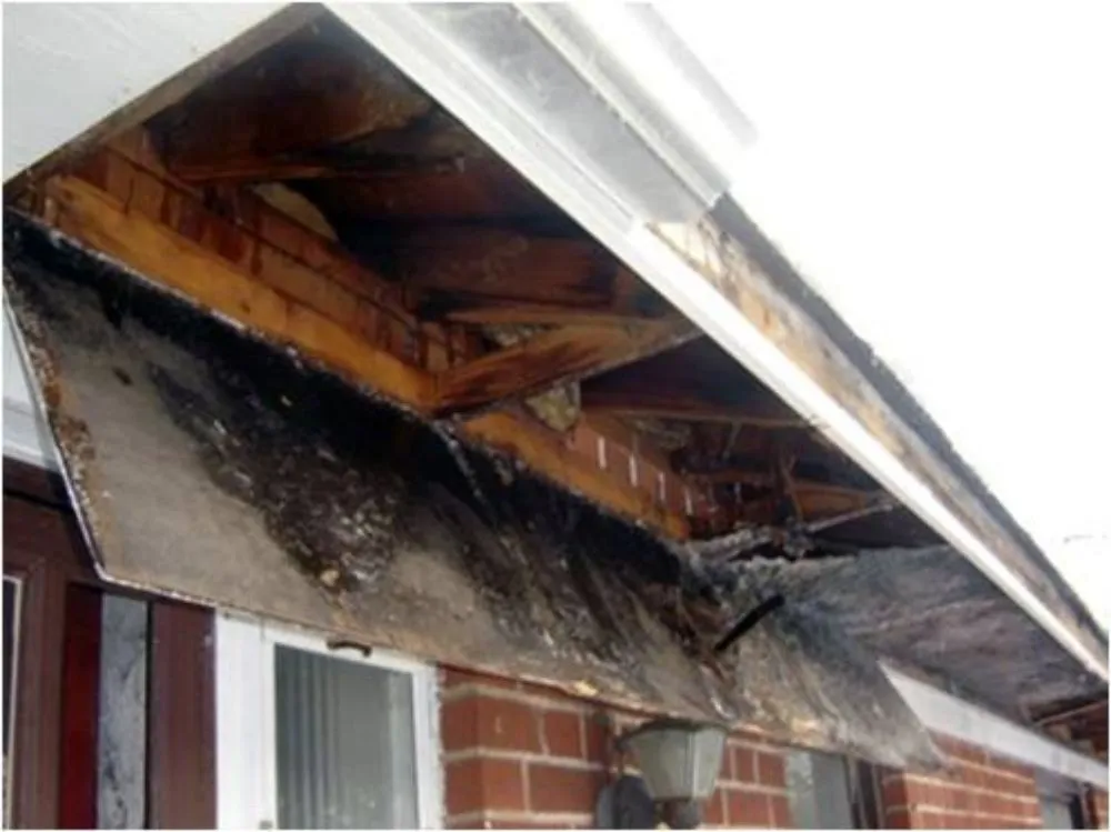 Local shingle roofing service in Quinton, VA by Above & Beyond Roof Cleaning