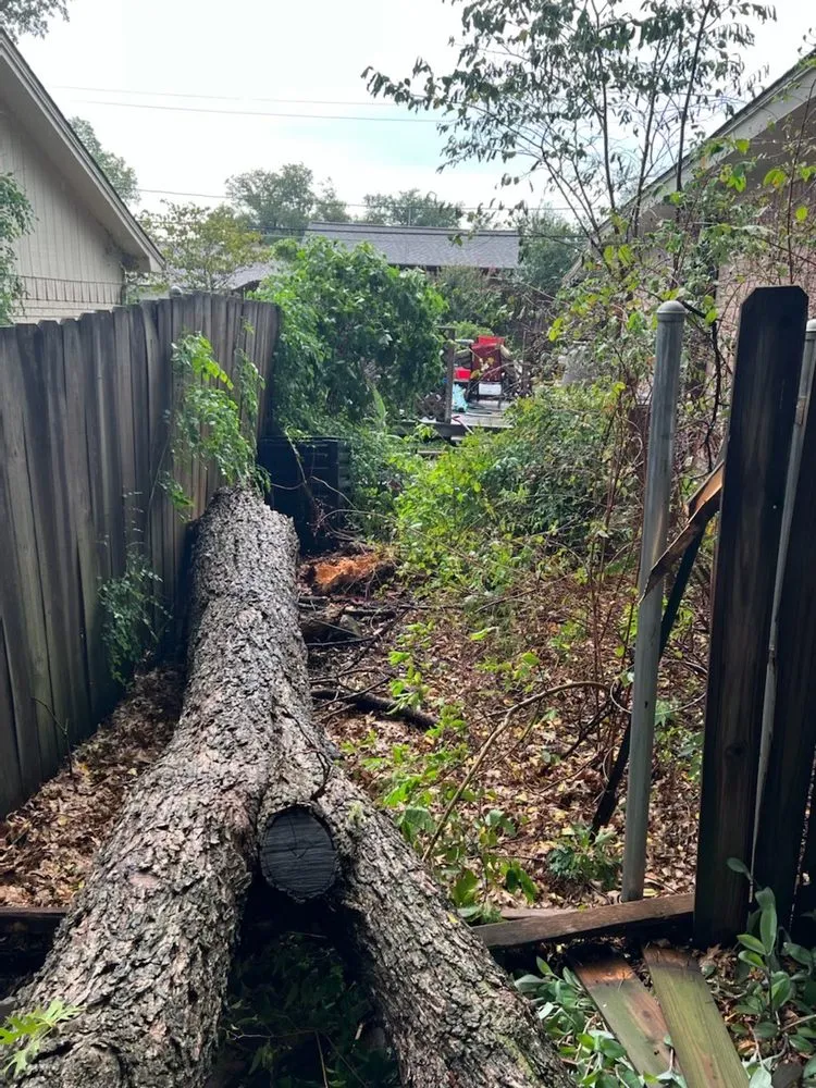 Slide of Above Ground Roofing